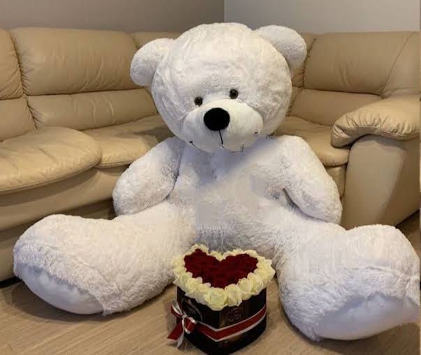 🧸 Premium Teddy Bear